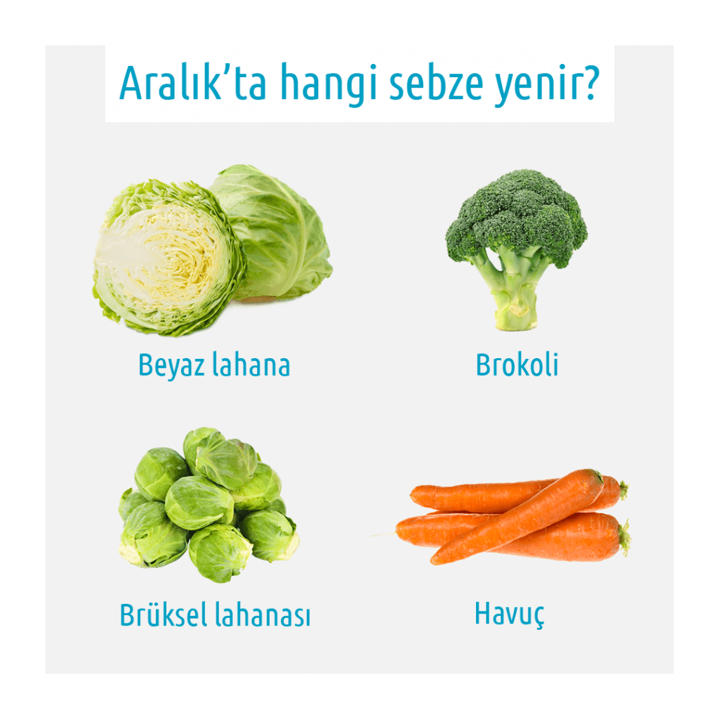 beyaz lahana brokoli brüksel lahanası havuç