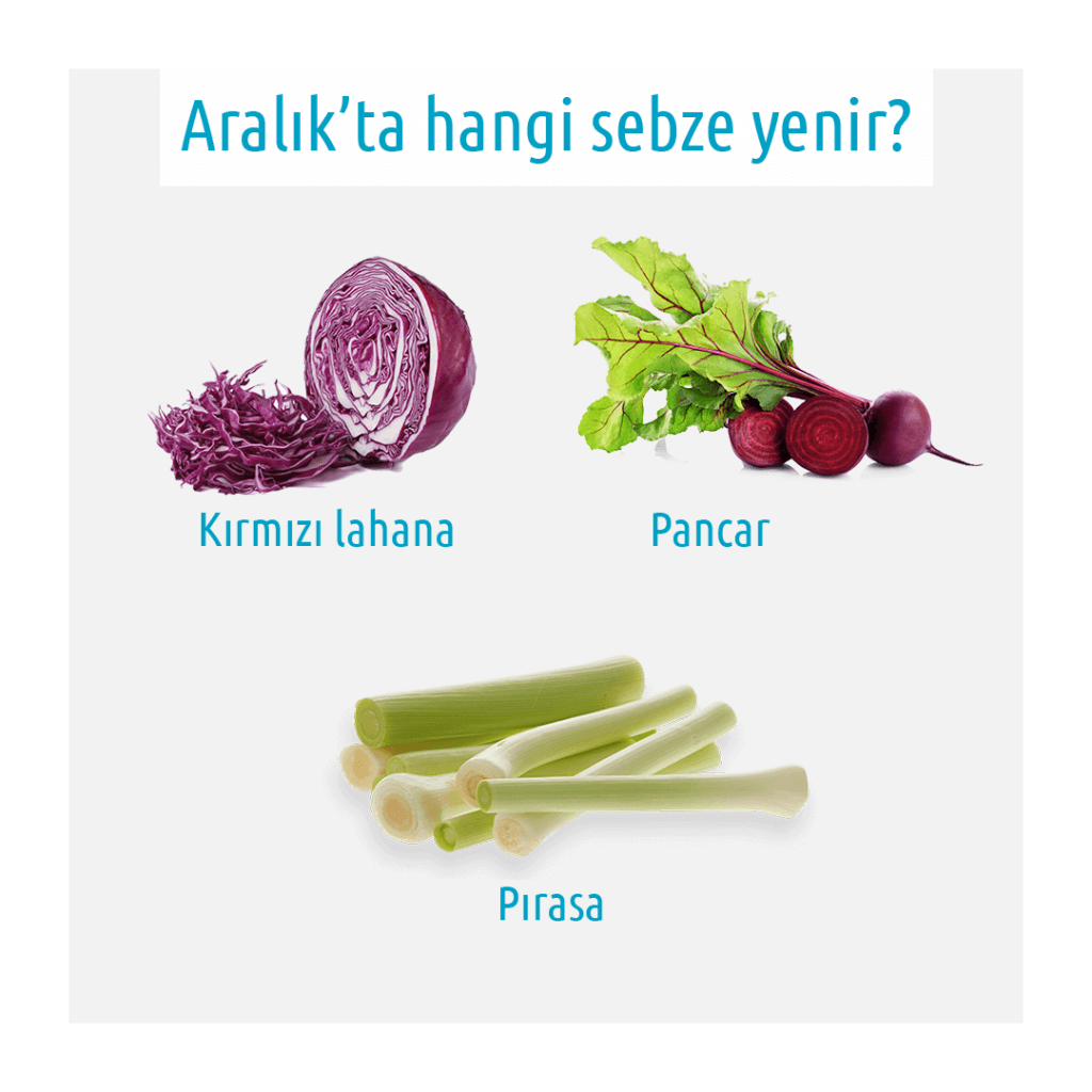 kırmızı lahana pancar pırasa