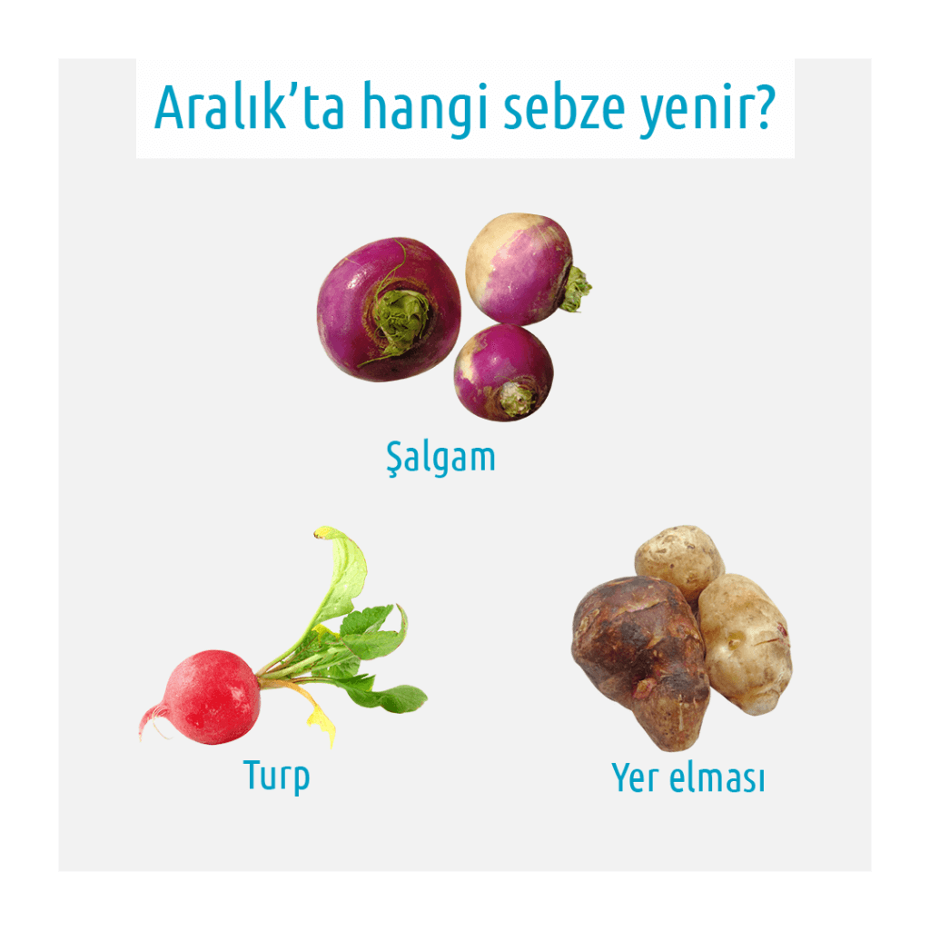 şalgam turp yer elması