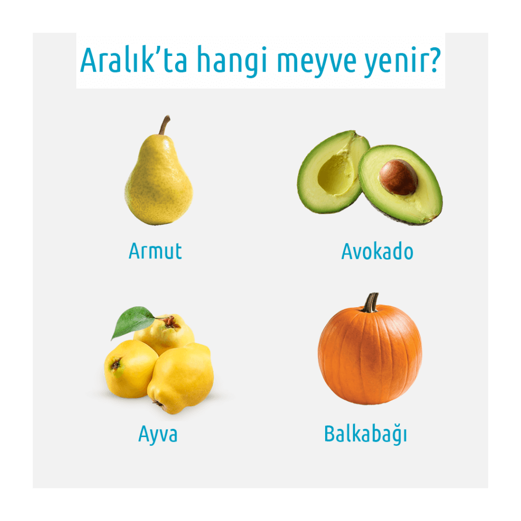 armut avakado ayva balkabağı