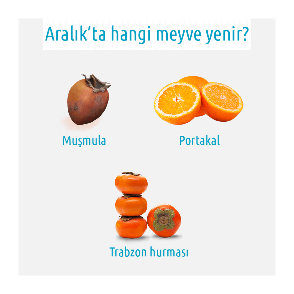 muşmula portakal trabzon hurması