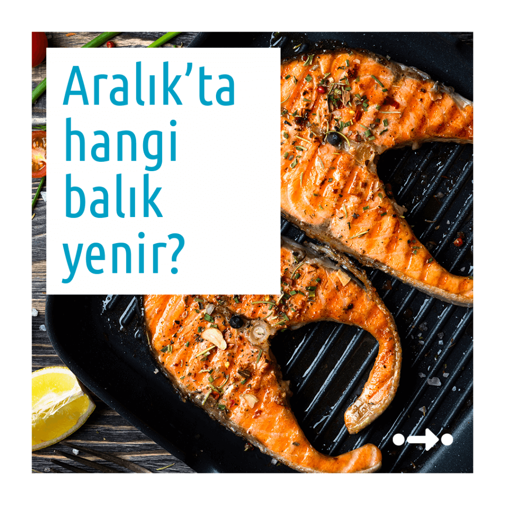 Aralık'ta hangi balık yenir