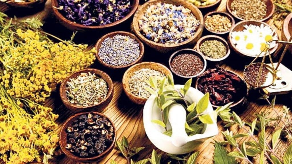 bağışıklık kuvvetlendirn bitkiler