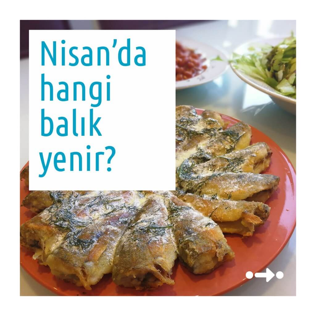 nisanda hangi balık yenir