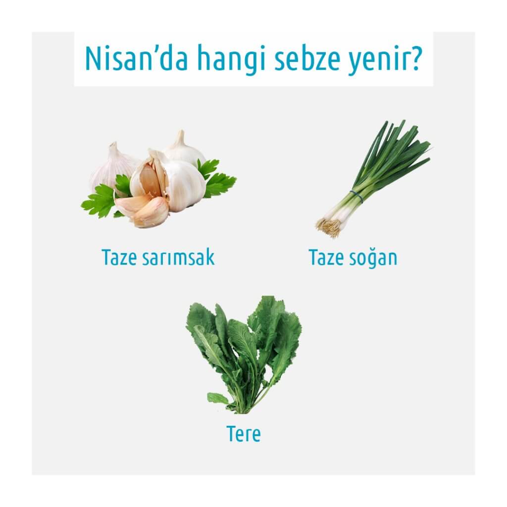 taze sarımsak taze soğan tere
